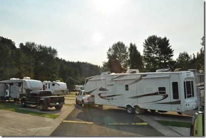 Nehalem State Park 001
