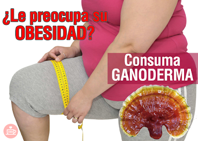 ganoderma dxn - salud y exito