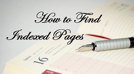 How to Find Indexed Pages of Your Website
