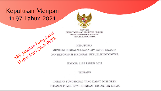 PPPK Dapat Mengisi 185 Jabatan Fungsional, Pembaca Wajib Tahu Yang Mana Itu