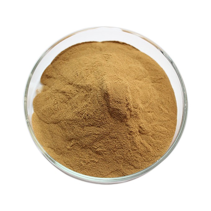 Cordyceps mushroom extract powder | Mushroom extract powder | Biobritte mushroom center