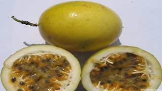 voavanga fruit images wallpaper