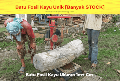 batu fosil kayu ulin asli