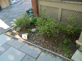 Davisville Mount Pleasant East New Front Shade Garden Before by Paul Jung Gardening Services--a Toronto Gardening Company