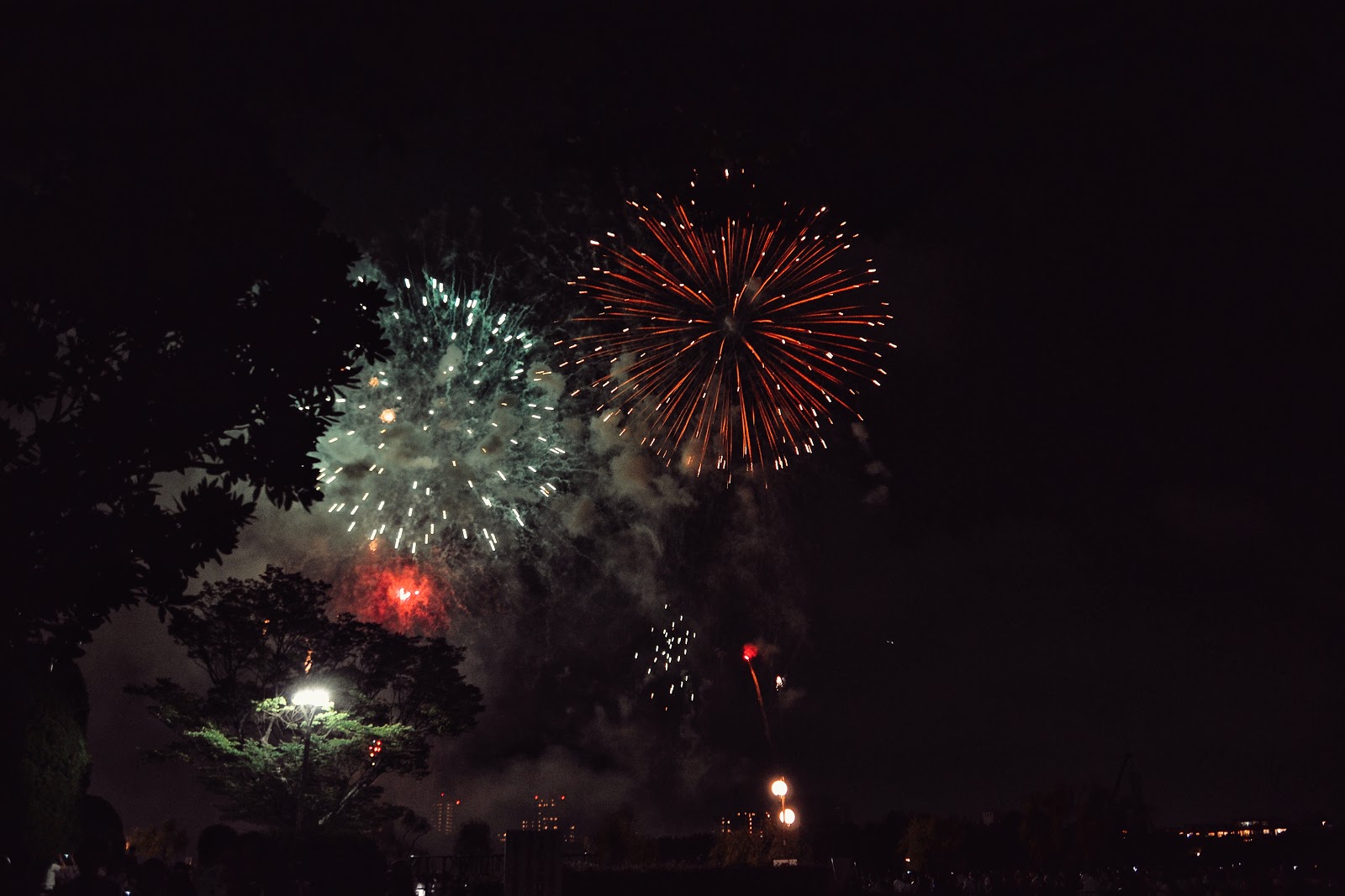 大濠公園花火大会16 Ohorikoen Fireworks 16 Portal Bj