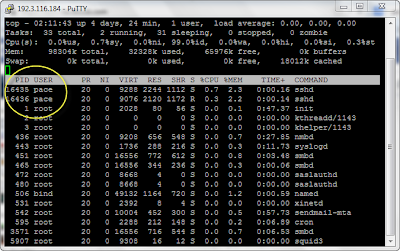 user online pada ssh