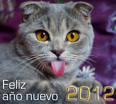 Feliz Año Nuevo 2012 (lindo gatito) - funny cat