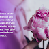 Be in the Inner Stillness | Alcazar