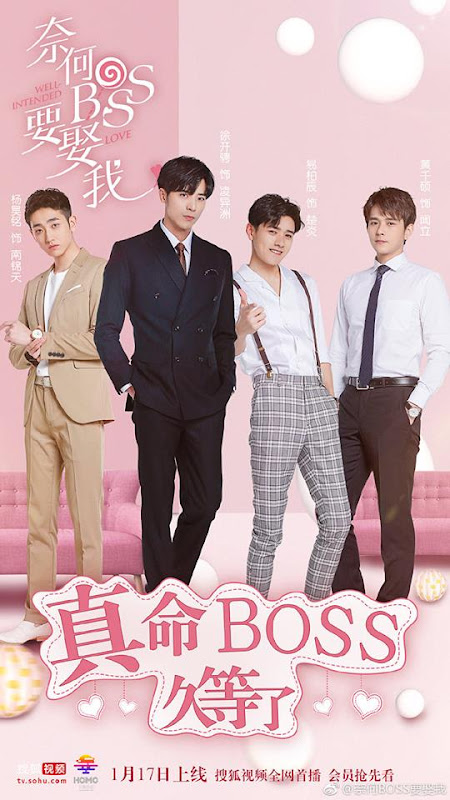 Well Intended Love China Web Drama