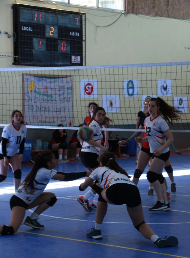 vóleibol