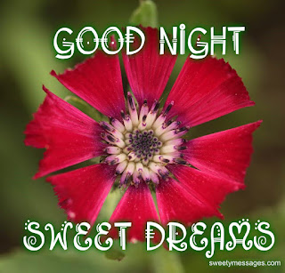 have a nice sweet dream image