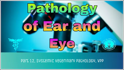 Pathology of Ear and Eye