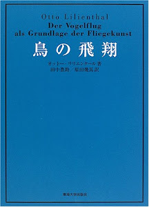 鳥の飛翔