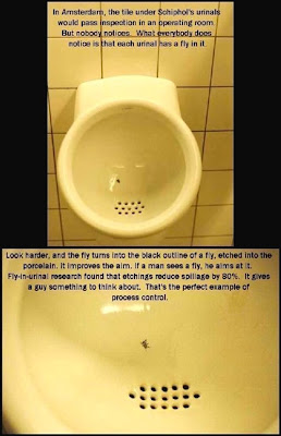 "fly" in the urinal in Amsterdam