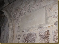 IMG_0729