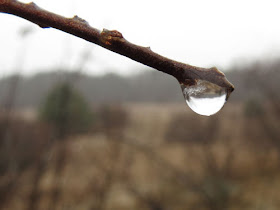 reflection in raindrop