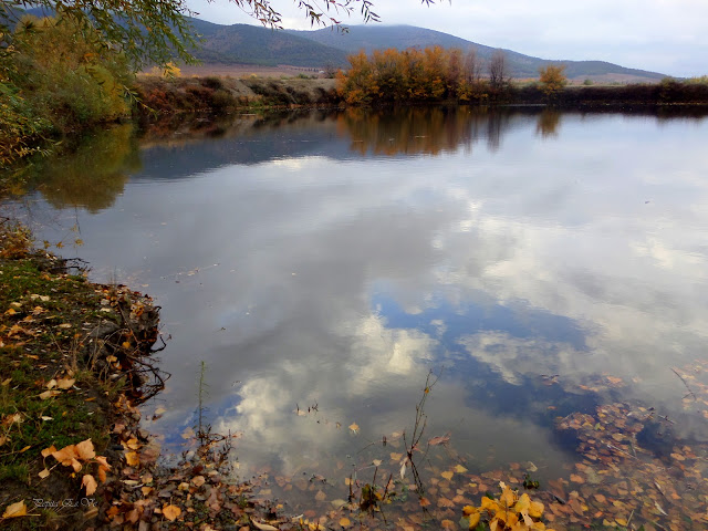 Balsa de Cogollos, otoño, reflejos