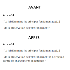 Projet de réforme constitutionnelle : mention de "l'action contre les changements climatiques" l'article 34