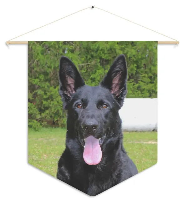 Pennant With Large European Solid Black Female German Shepherd Leaving Tongue Out