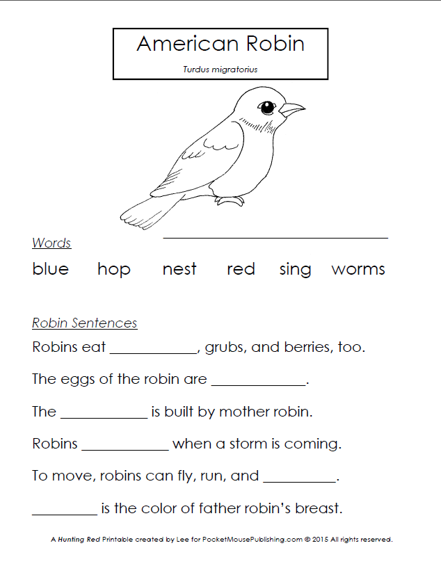 American Robin Printable Worksheet