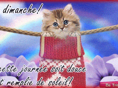Achevée! carte de bon dimanche animée 279679