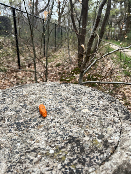 Geplaatste Happy Stone, Ginkelse Heide