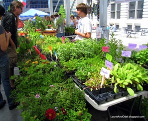 Live plants