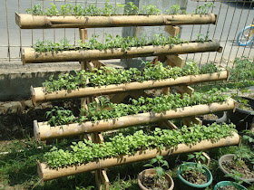 Cultivation In Vertikultur at Home and Urban Farmers