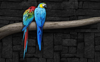 Love parrots, Parrot Love HD Wallpapers, pair of parrots near the stone wall