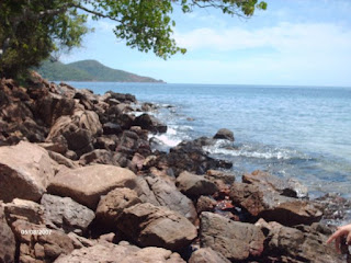 imagen Piedras en la playa 