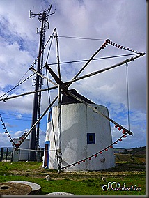P1180841