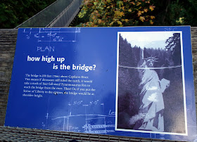 How high is Capilano Suspension Bridge