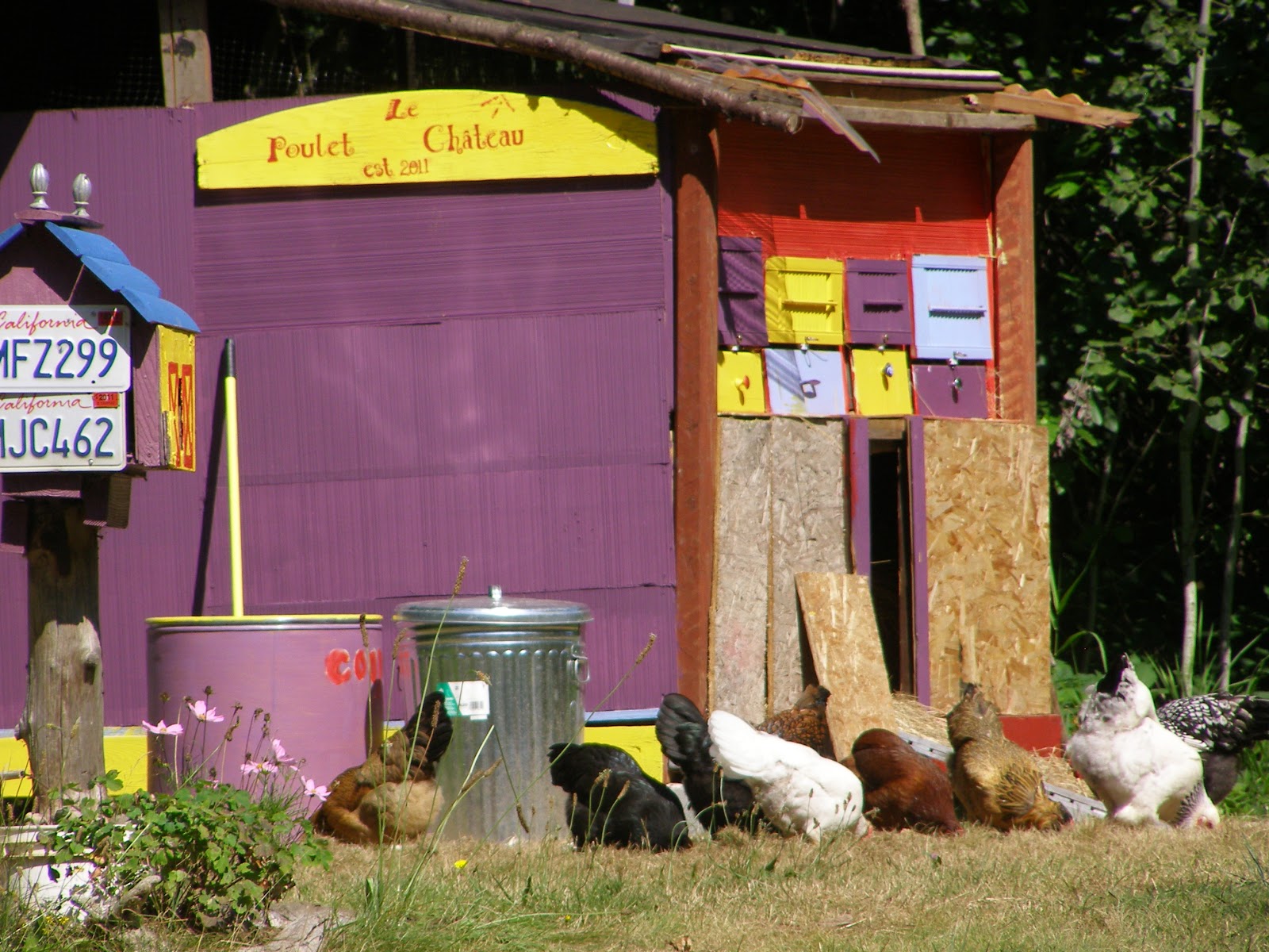  chicken tractor we thought its time to build a funky chicken coop for