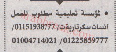 اهم وافضل الوظائف اهرام الجمعة وظائف خلية وظائف شاغرة على عرب بريك