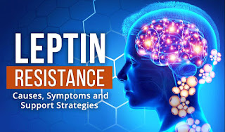 What are the causes of the Leptin imbalance? leptitox review