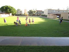 IMG_0052