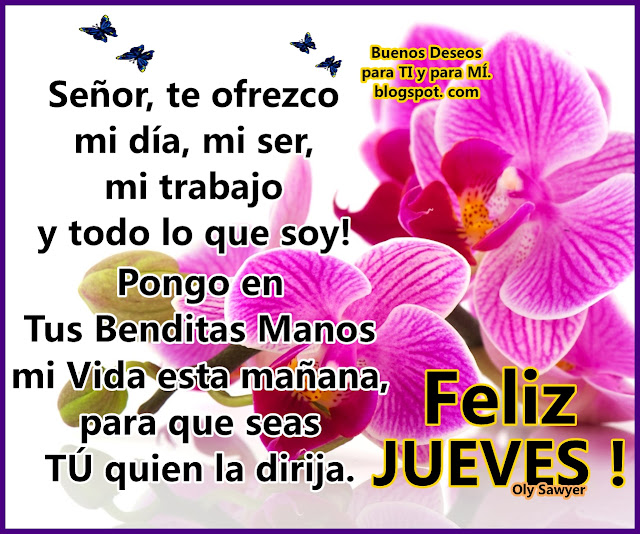 Señor, te ofrezco mi día, mi ser, mi trabajo y todo lo que soy! Pongo en Tus Benditas Manos mi Vida esta mañana, para que seas TÚ quien la dirija.  FELIZ JUEVES !