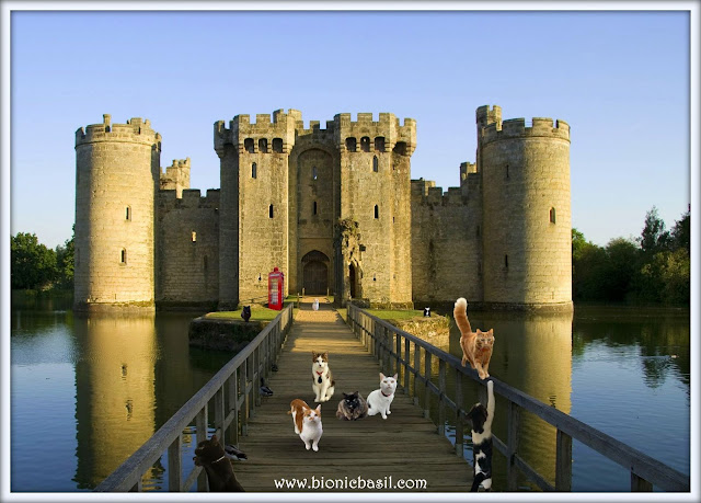 The B Team's Bodium Castle Selfie ©BionicBasil® The Sunday Selfies Blog Hop