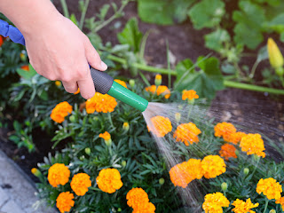 How to Care for Your Expandable Garden Hose