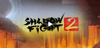 Shadow fight