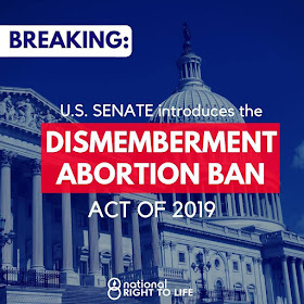 Sens. Mike Rounds and James Lankford introduce ban on dismemberment abortion in U.S. Senate