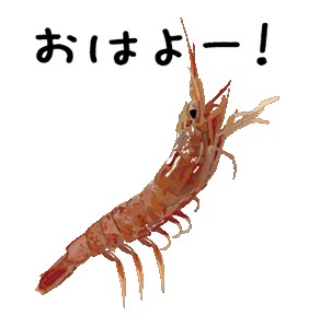 Line クリエイターズスタンプ 動く シュールなエビ Example With Gif Animation Line クリエイターズスタンプ 動く シュールなエビ Example With Gif Animation