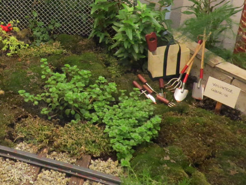 Philadelphia Flower Show 2019- Miniatures