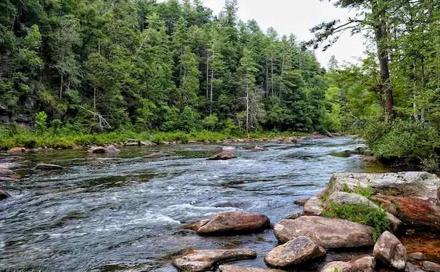 Chattooga River, camping gratuito en el oeste de Carolina del Norte