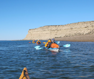 Sea Kayaking in Patagonia Peninsula Valdes Marine Life Whales Penguins and Sea lions