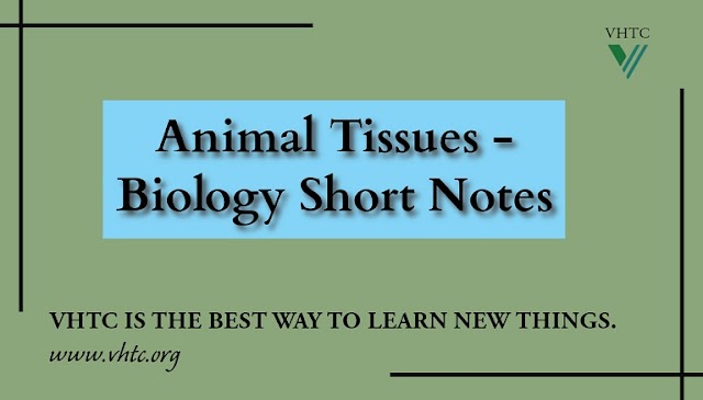 Animal Tissues - Biology Short Notes 📚