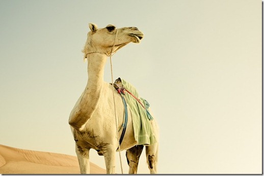 dubai-by-christopher-wilson-9-600x400
