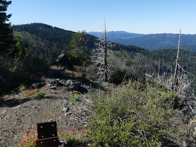 timbered peak to the south