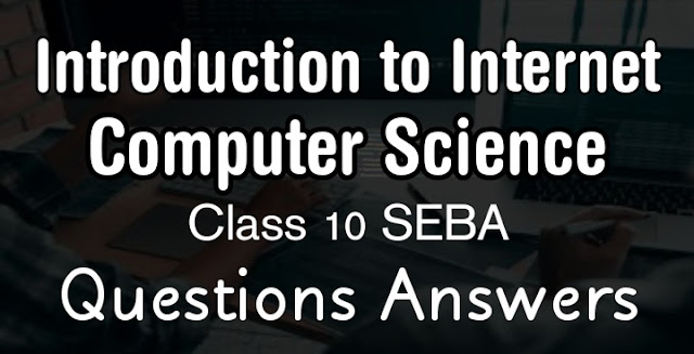 Introduction to Internet class 10 SEBA Computer Science Questions Answers