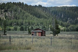 DSC_0097